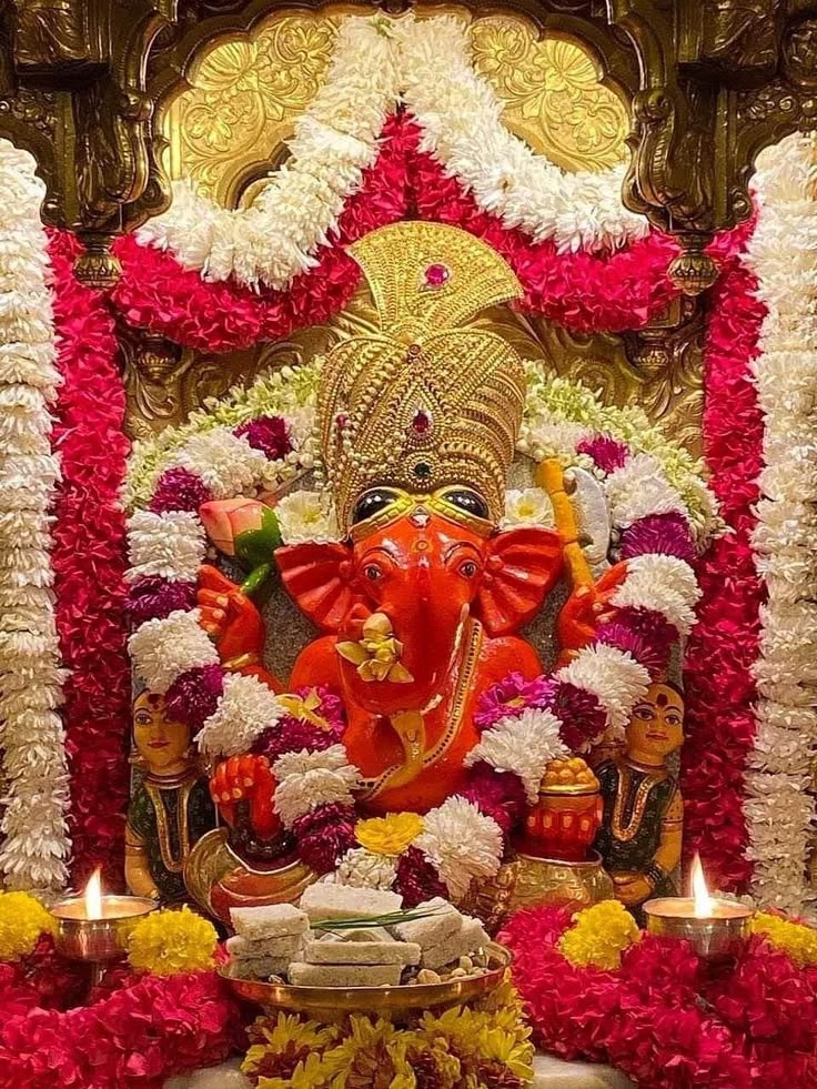 रानी पुरोहित tweet media