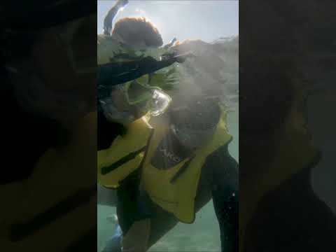 The Beach Life tweet media