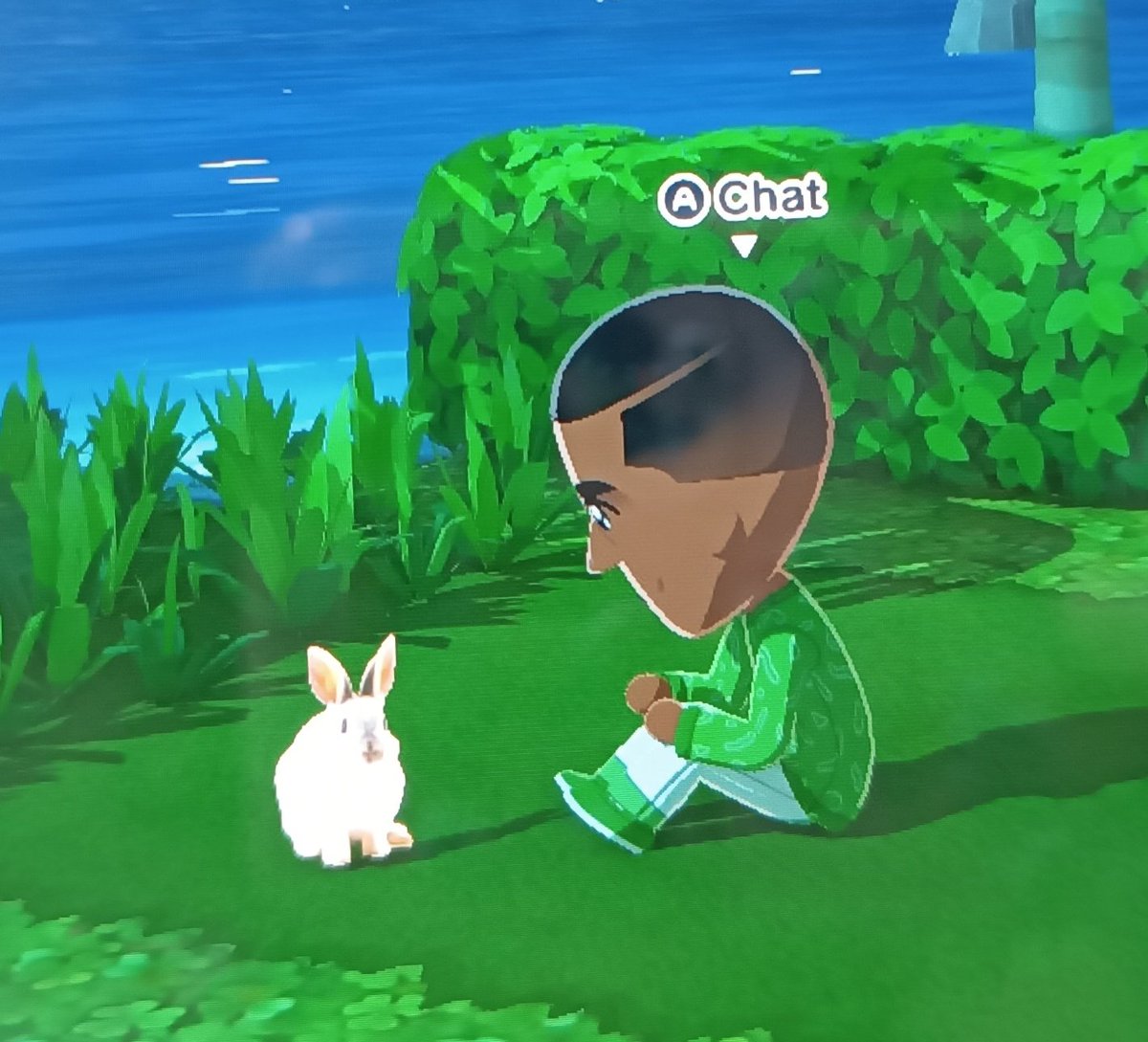 фру-89 tweet media