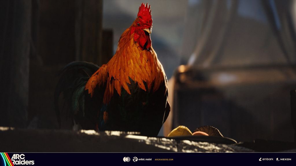 Rooster tweet media
