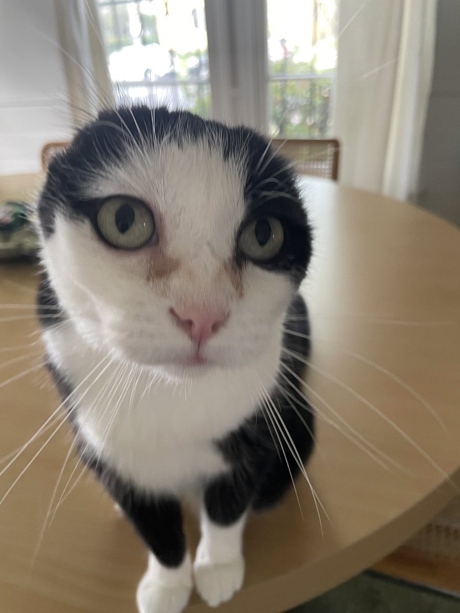 Erick (｡◝‿◜｡) 🧸🌙 |🔜COMBOBREAKER tweet media