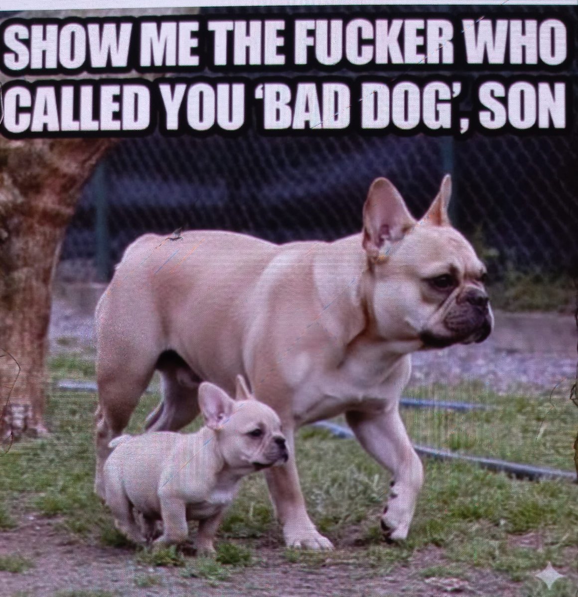 jev white tweet media