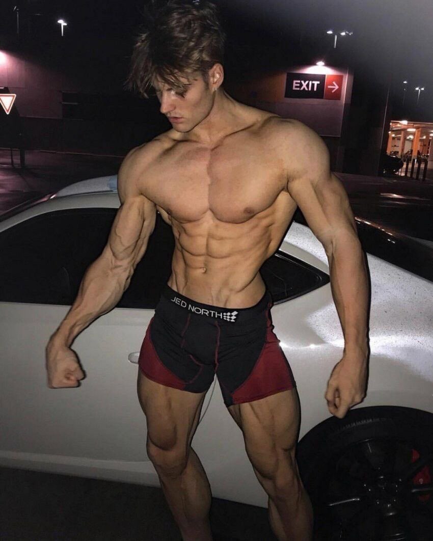 ⚡️ Golden Age Vitalist ⚡️ tweet media