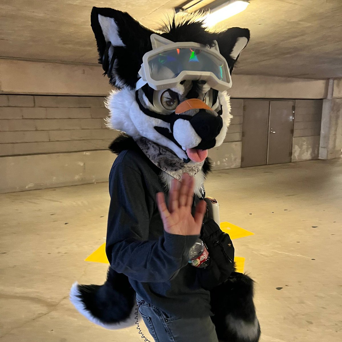 BaxterBax ➡️ FWA???, BLFC!!! tweet media