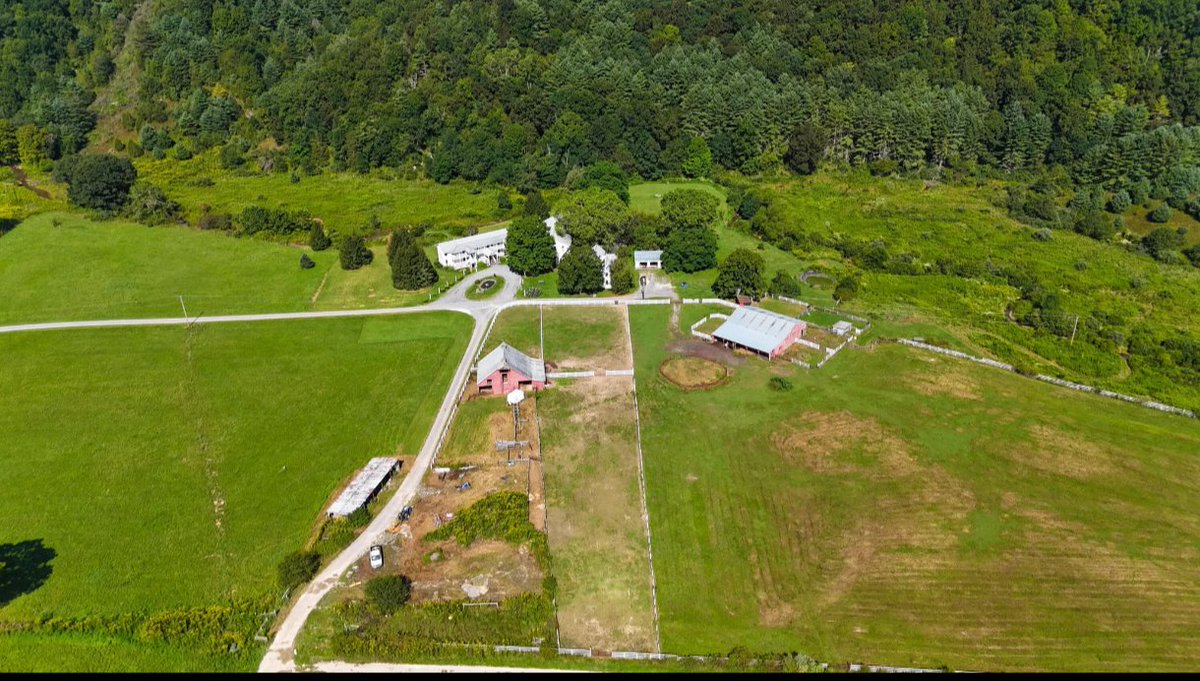 Jedi Hill tweet media