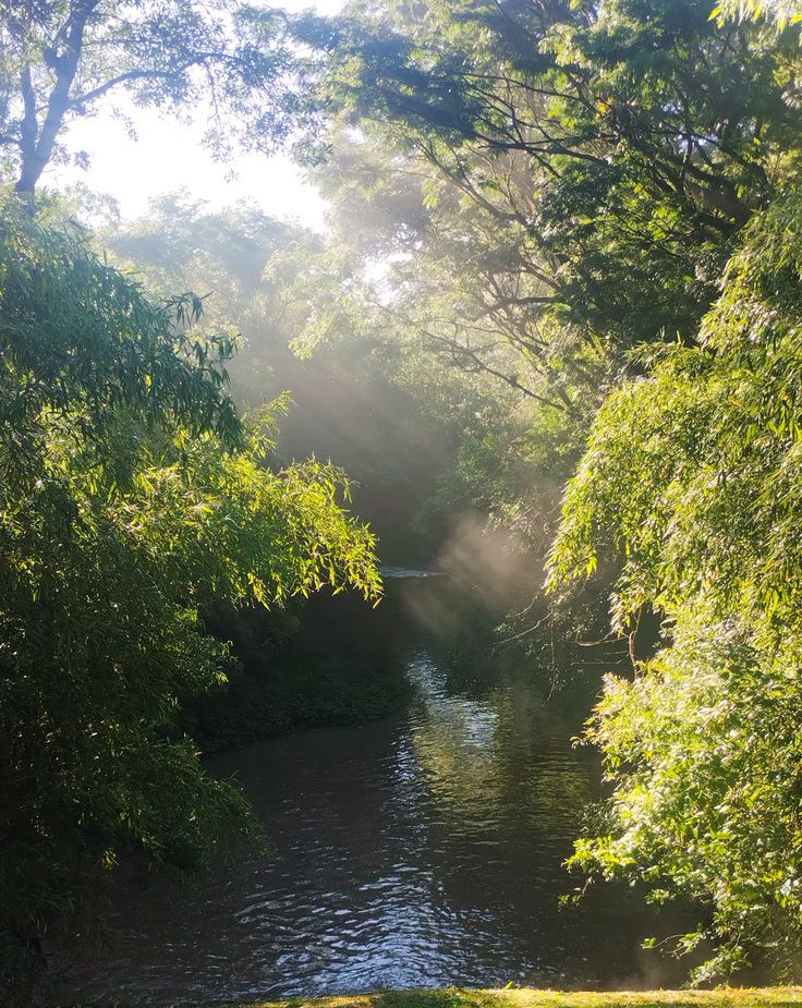 Wa-Bush (@bondzabby) on Twitter photo 