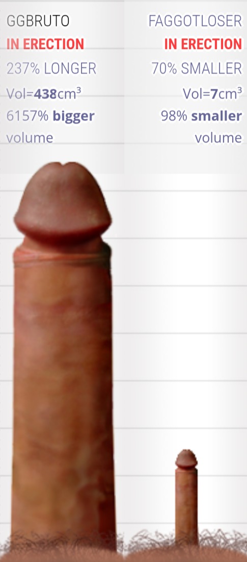 GGbrutao tweet media