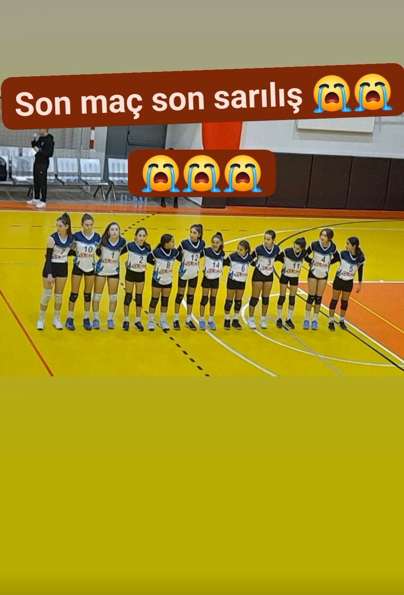 Safiye Çevik tweet media