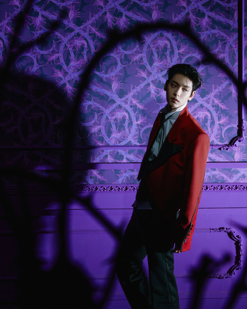 7th year: will tweet media