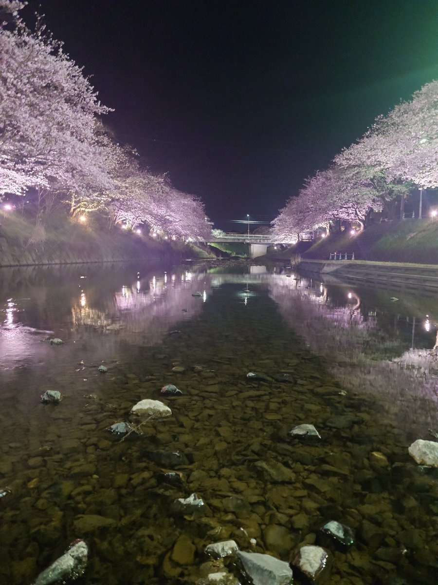 ta1217ro's tweet photo. 全然ピント合わんかった写真上げてもーた🤣
こっちのが綺麗かな🤔💭 https://t.co/sYaR0p7V4S