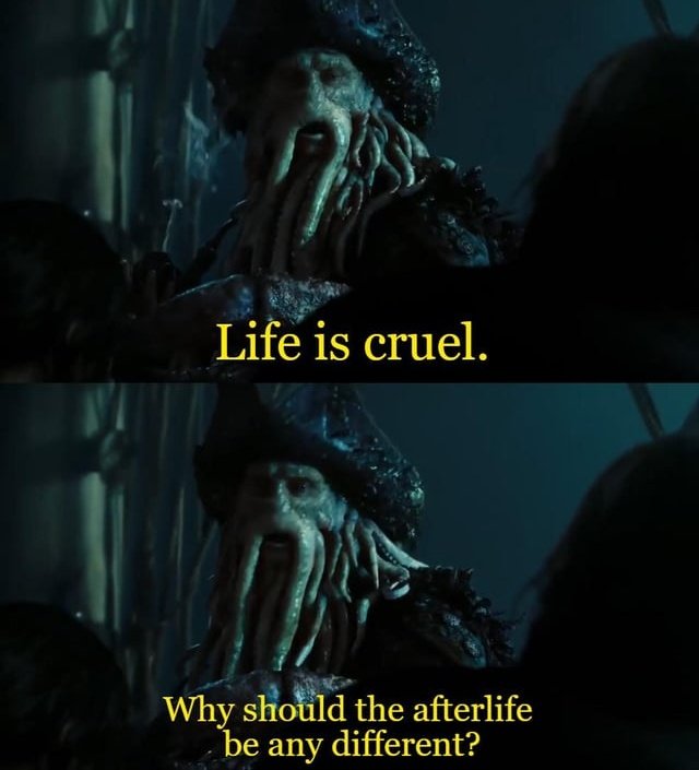 🏴☠️ tweet media