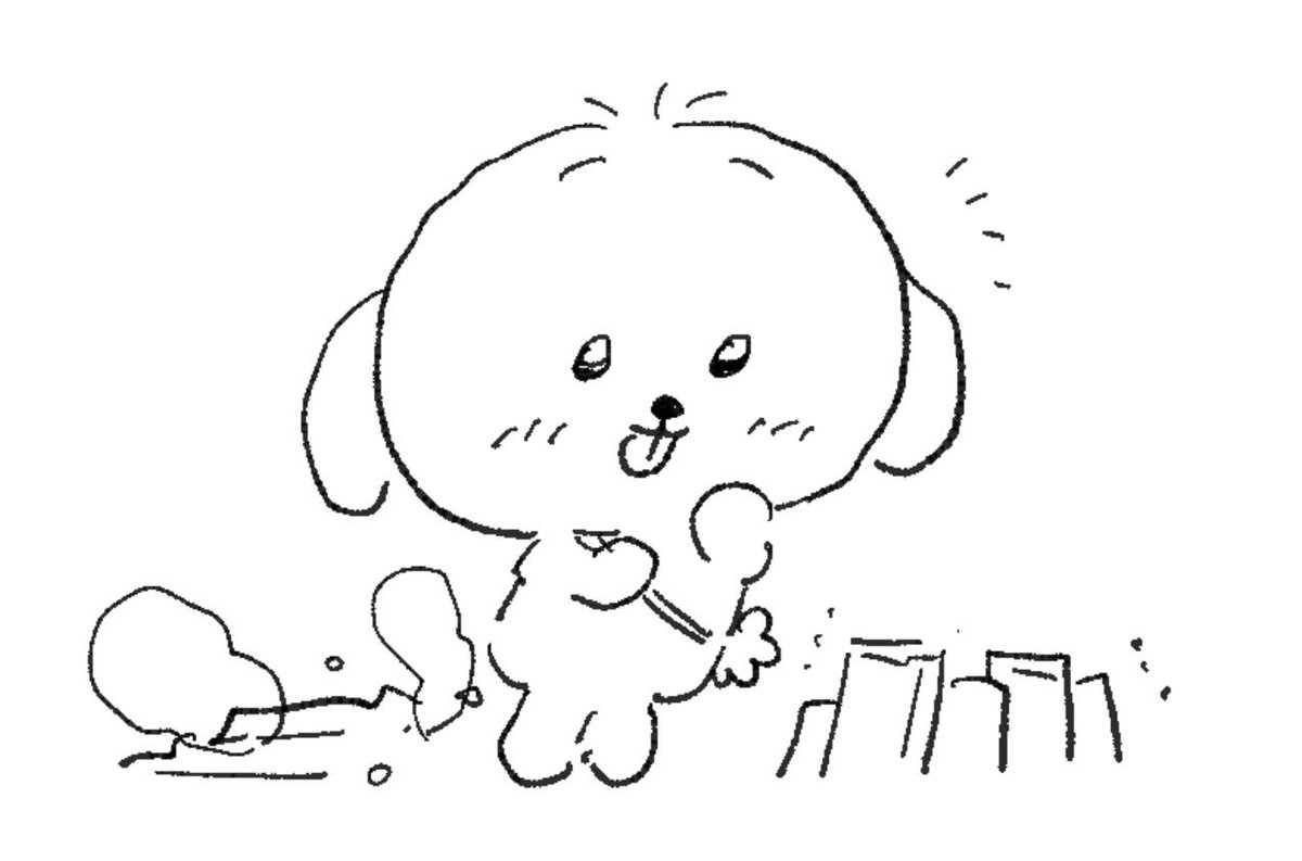 차돌박이 tweet media