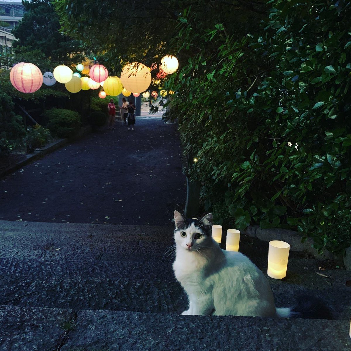 姉太郎@万象森羅founder tweet media