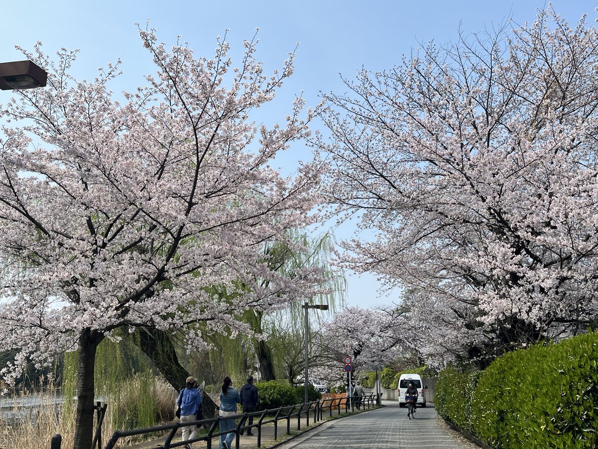 🌻おこたん🌻 tweet media