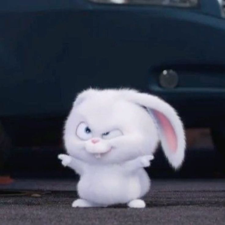 마카다미 tweet media