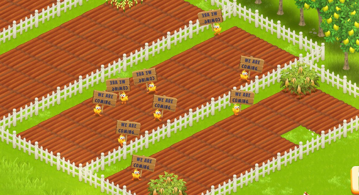 تجمع مزارعين #هاي_داي🇸🇦 tweet media