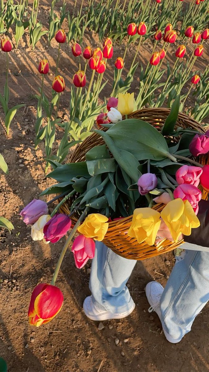 aymann.^᪲᪲᪲ tweet media