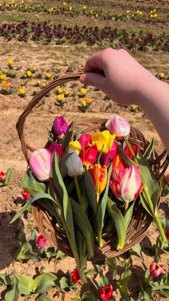 aymann.^᪲᪲᪲ tweet media