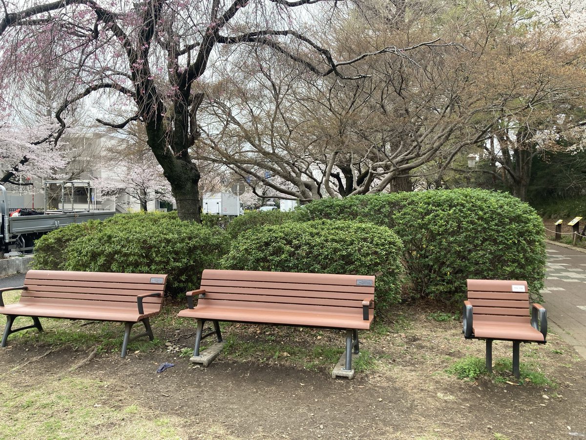 グリーン tweet media