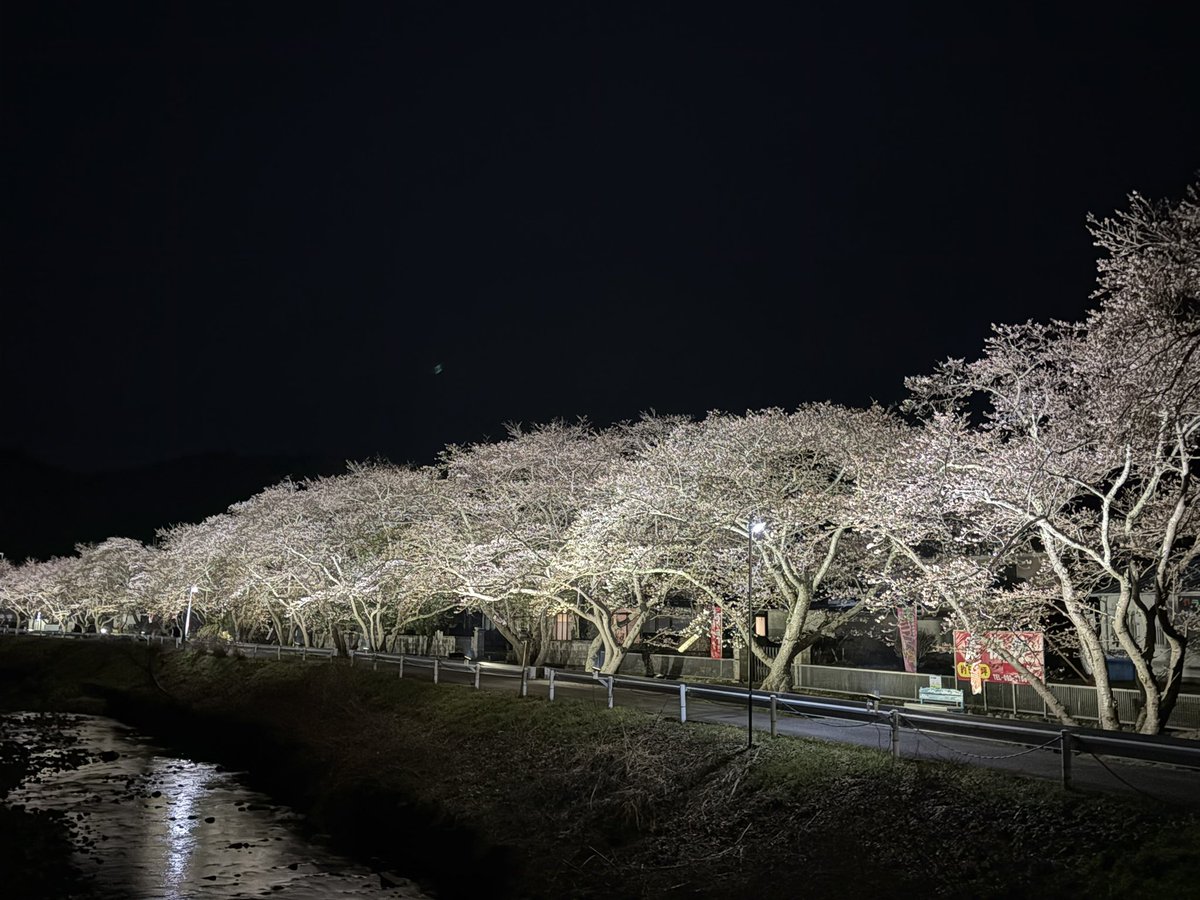 runaway0221's tweet photo. 実家近くの桜並木。満開まではもう少し。田舎で何もないけど、この時期にはそこかしこで桜が見られる。 https://t.co/tCXtOmBf4w