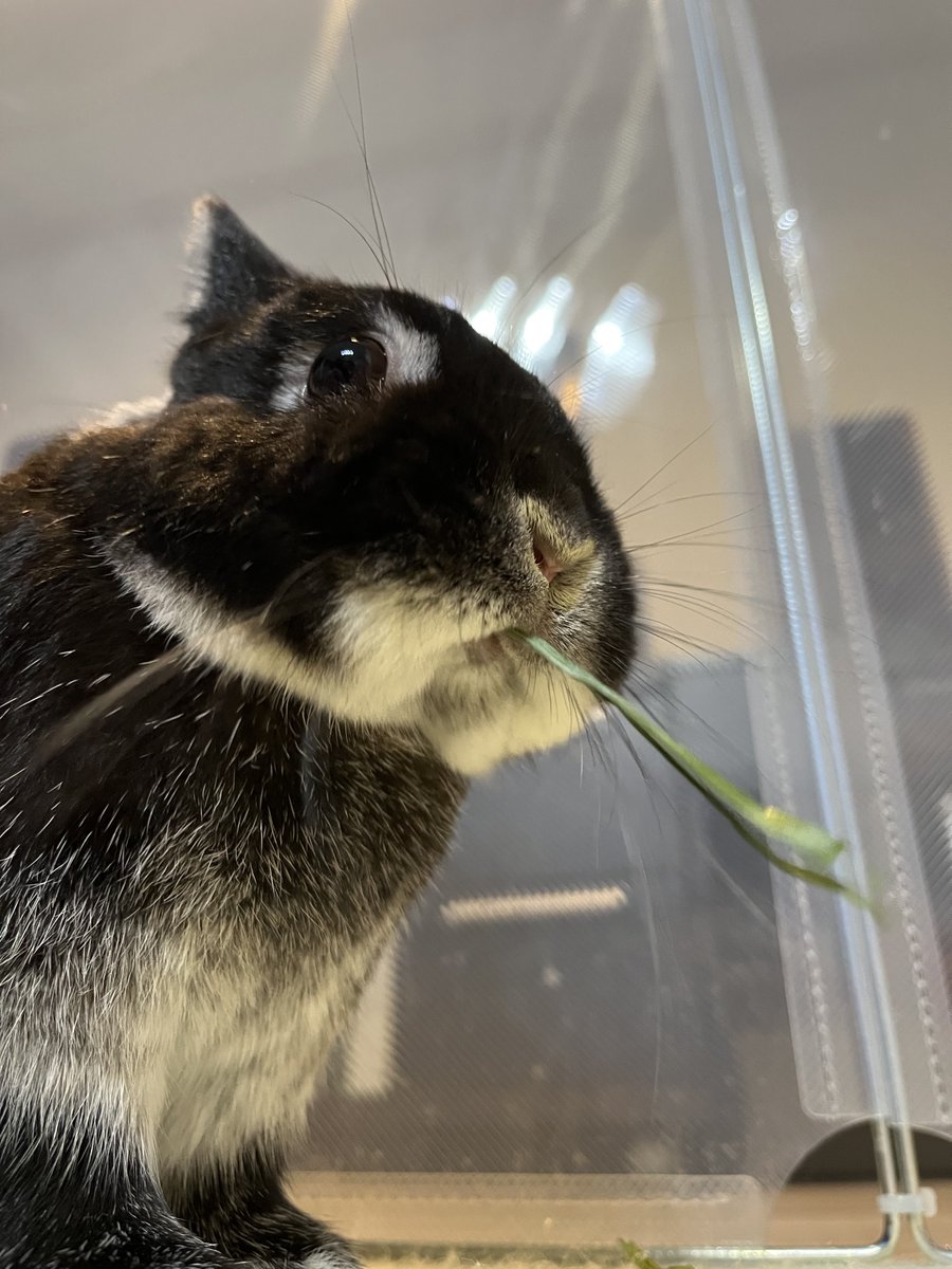 さんた tweet media