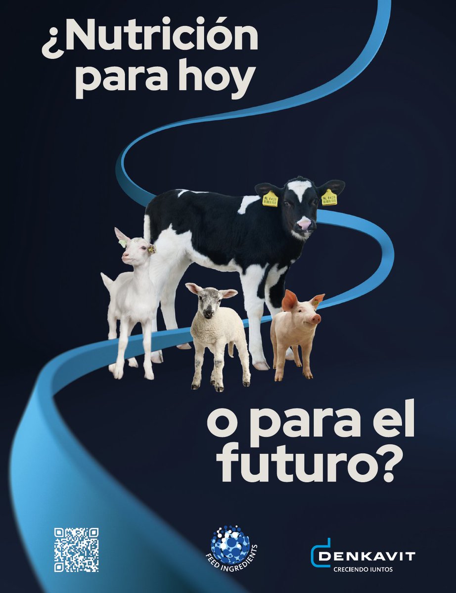dinuvet's tweet photo. 😃 ¿Nutrición para hoy… o para el futuro?
Invertir en una nutrición adecuada desde el inicio no solo impacta en el presente, sino que define el rendimiento, la salud y la eficiencia de los animales a lo largo de toda su vida. https://t.co/1BdvCjISs4