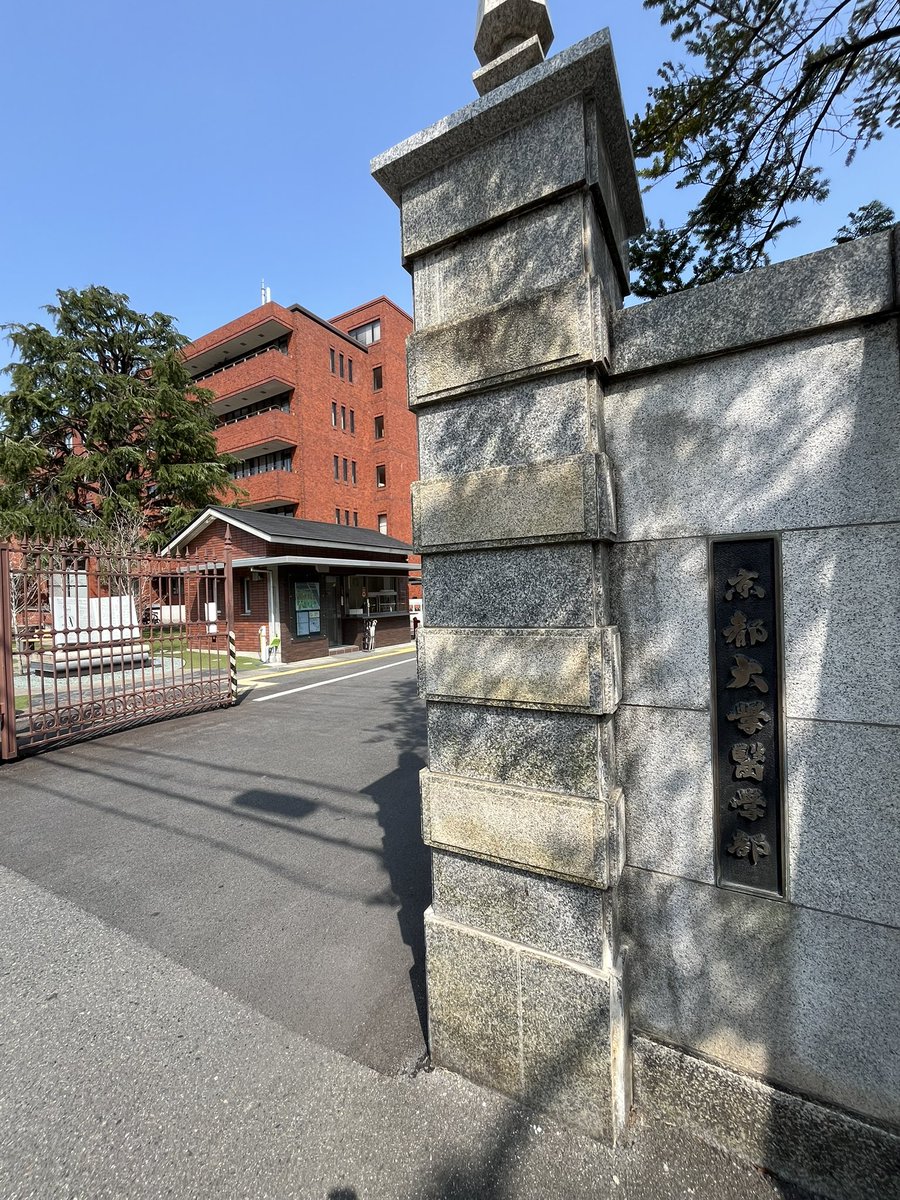 田中 雄大｜脳の研究医🧠 tweet media