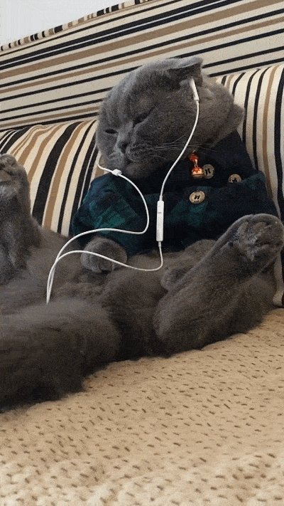 mark holt tweet media