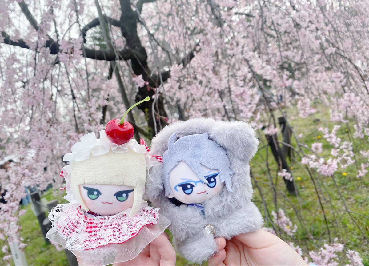 とり🏹 tweet media