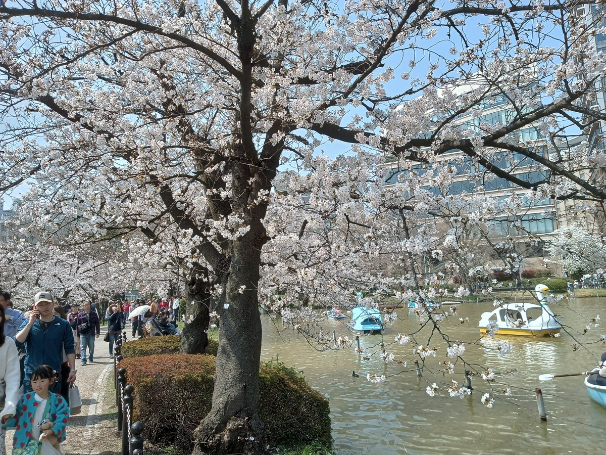 ⚽ヒロ⛹️♂️ tweet media