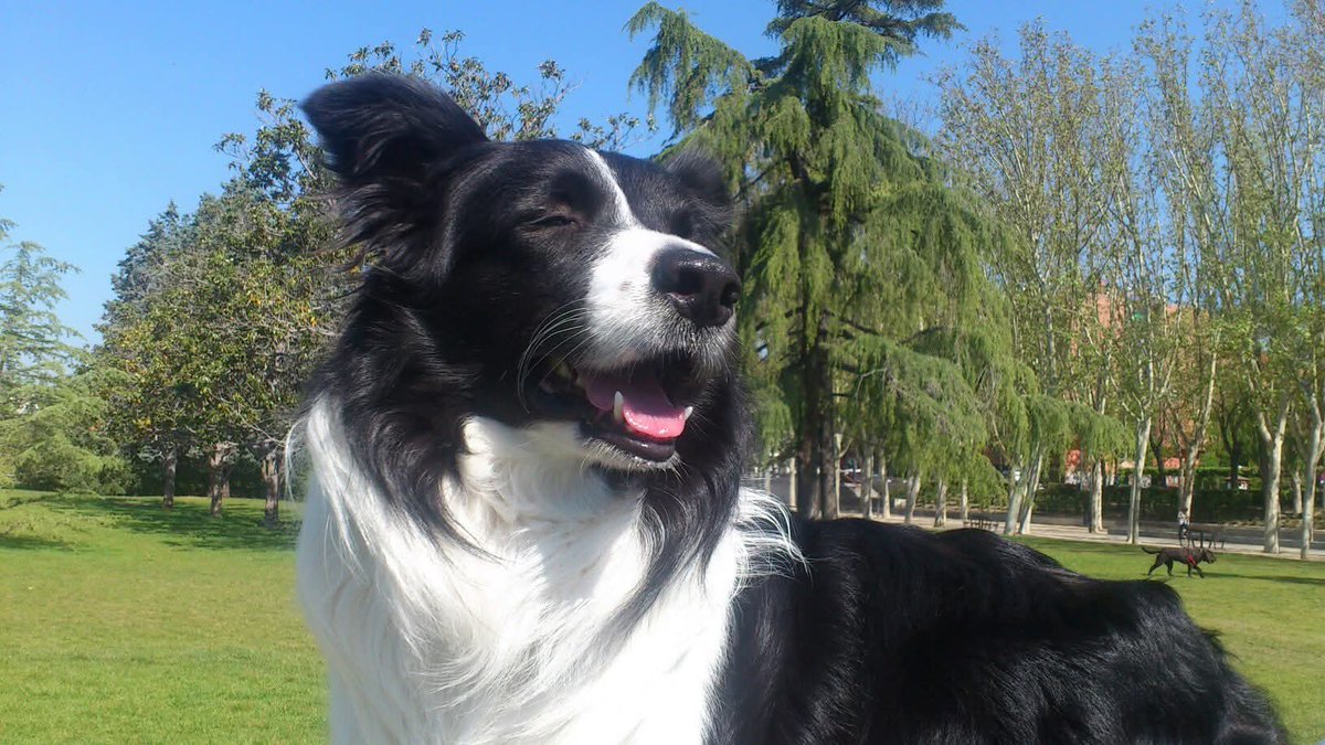 Xavi 🌱 tweet media