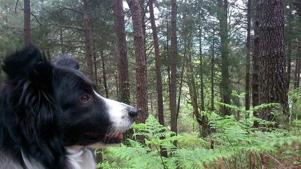 Xavi 🌱 tweet media