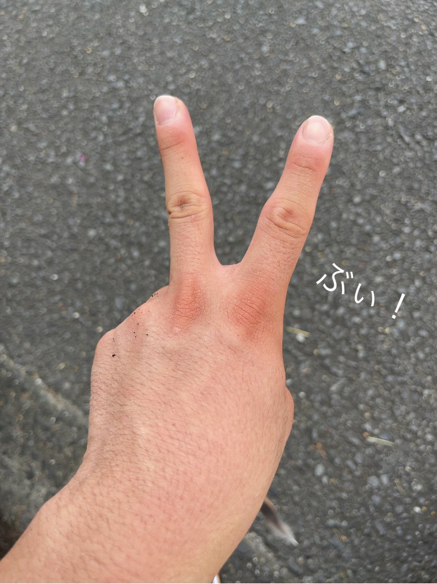 もり/シックスペンス推し〈競馬歴4年〉 tweet media