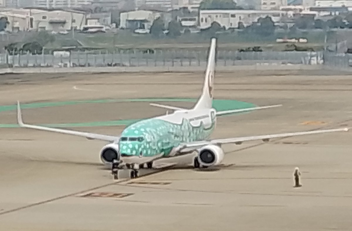 hyperfelis's tweet photo. きのう所要で訪れた博多駅近辺。
空き時間が2時間くらいあったので足を伸ばして福岡空港へ。
展望デッキでしばしココロの洗濯。

JTAのジンベエジェット見たの初めてかも知れん。 https://t.co/nsiPIoT7v4