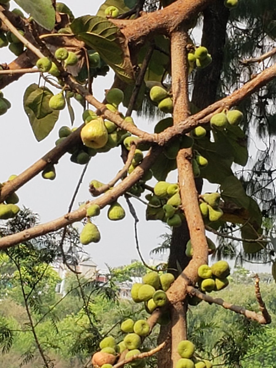 मुड मास्टर tweet media