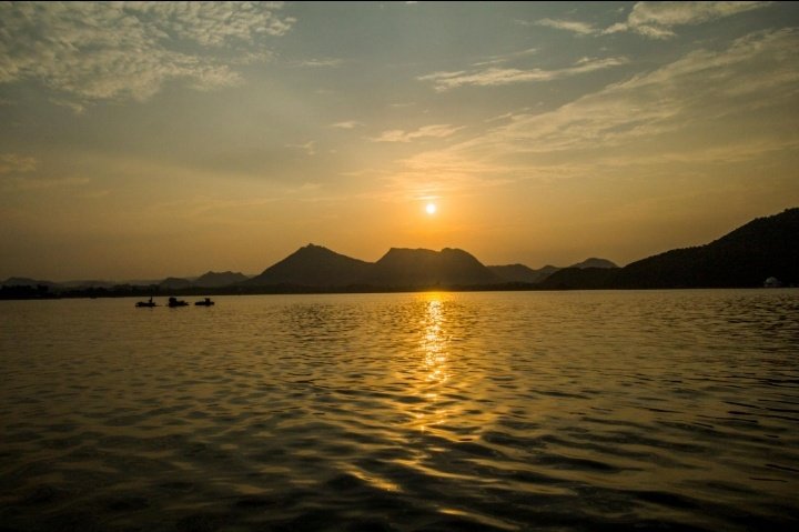 Bella🌸 tweet media