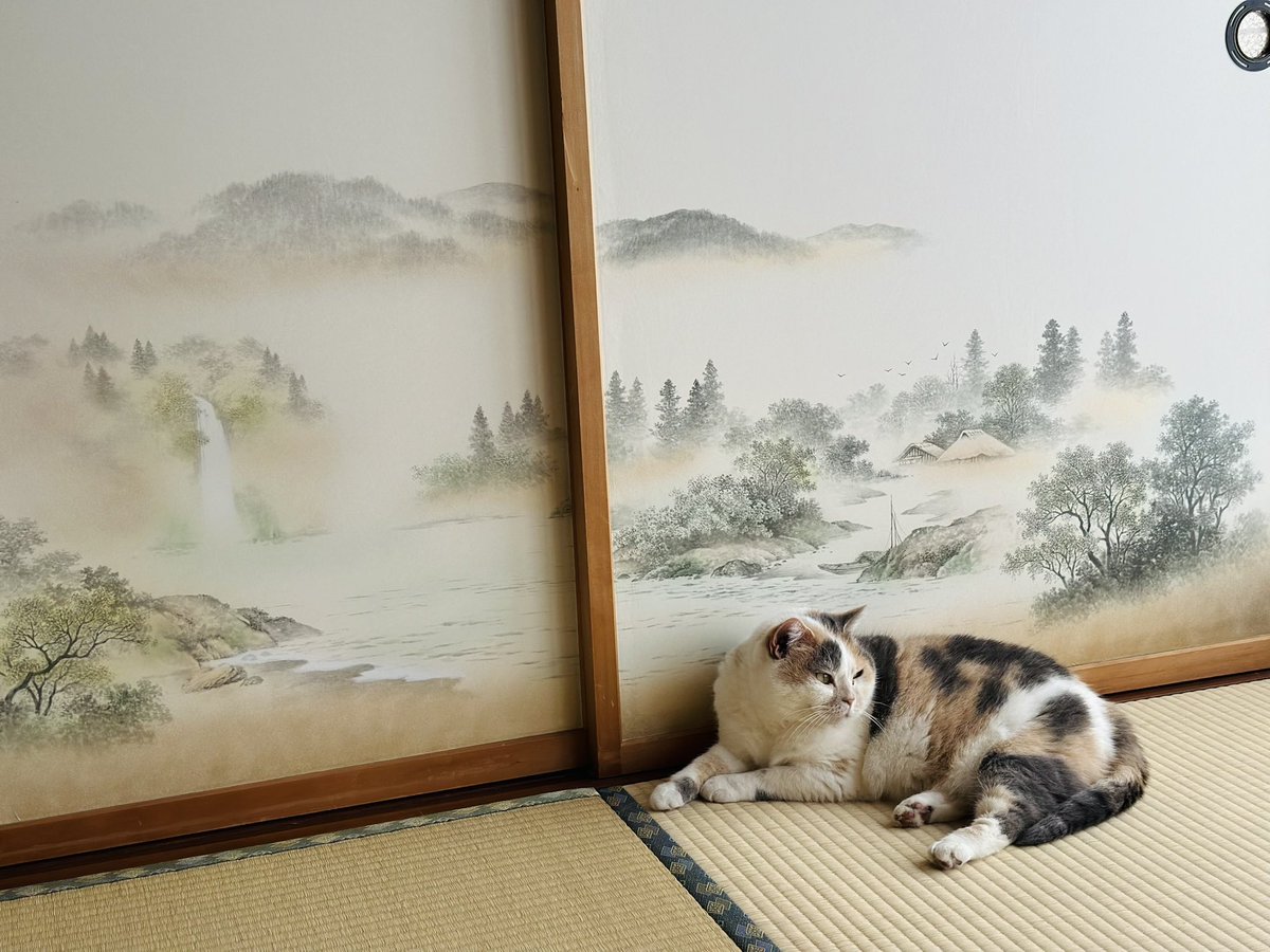 民泊たなごころ tweet media