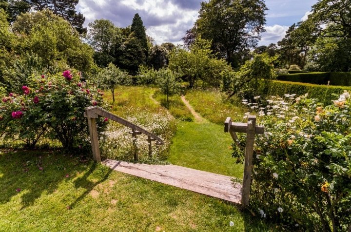 Bella🌸 tweet media