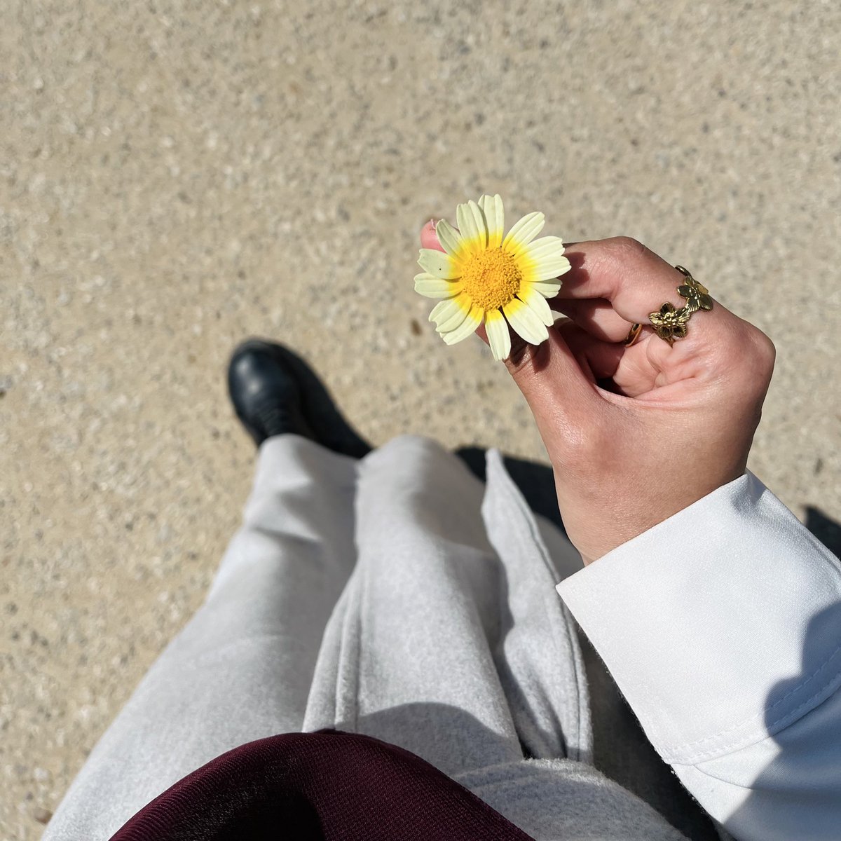 آلاء سامي tweet media