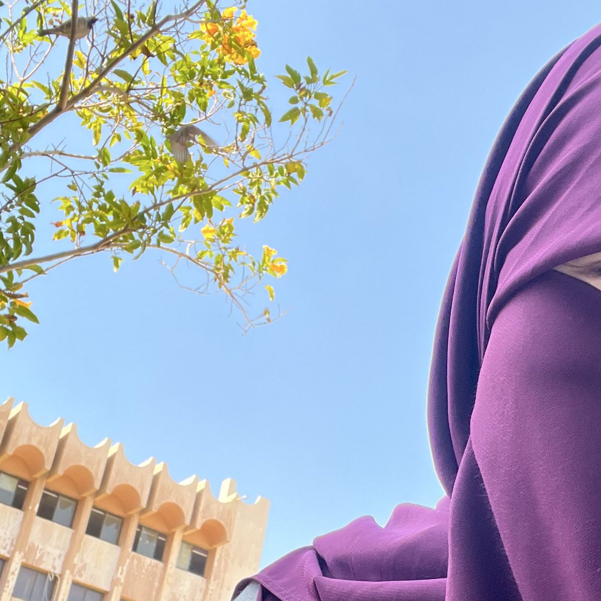 آلاء سامي tweet media