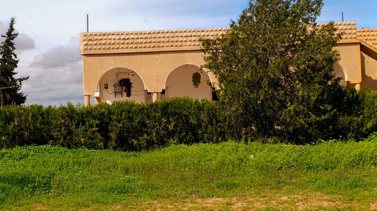 باسل tweet media