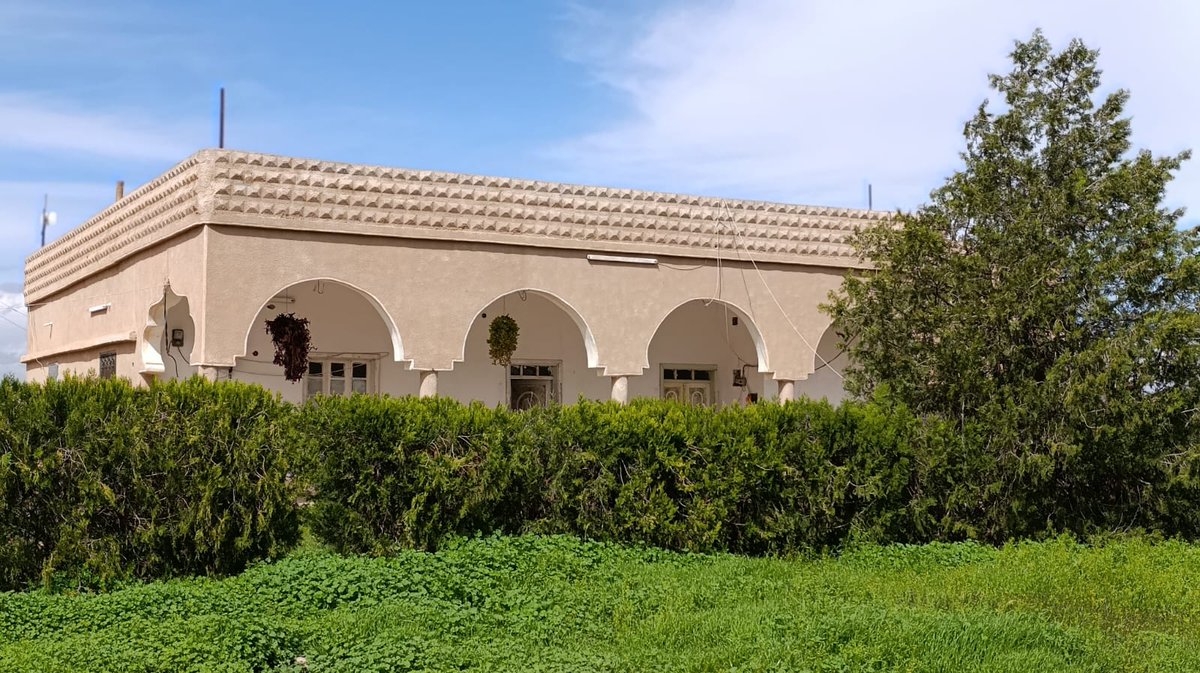 باسل tweet media