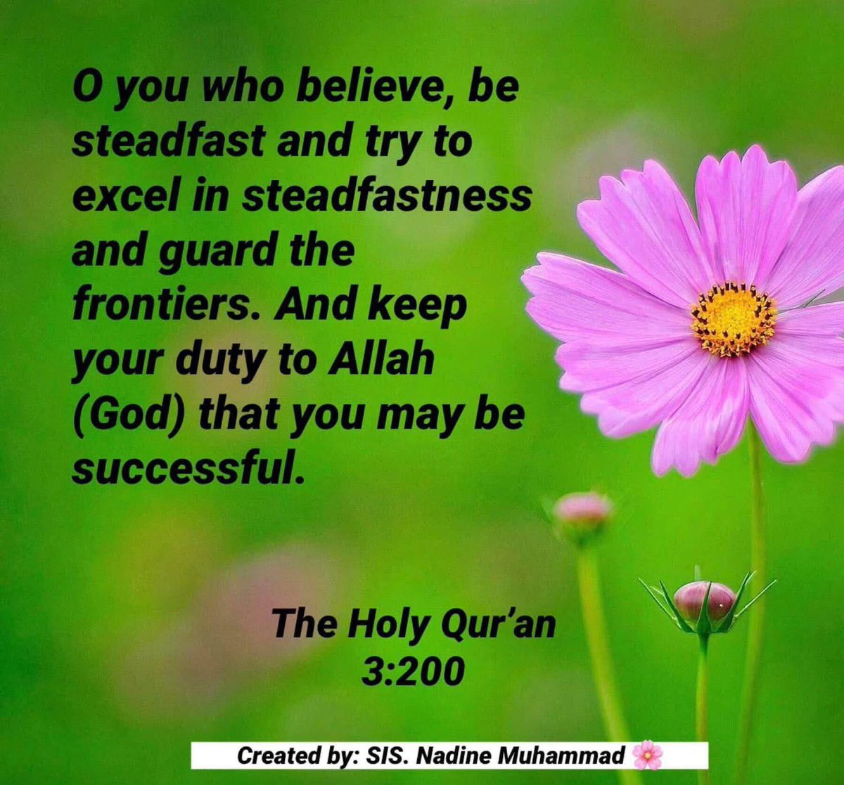 Dr. Nadine Muhammad tweet media