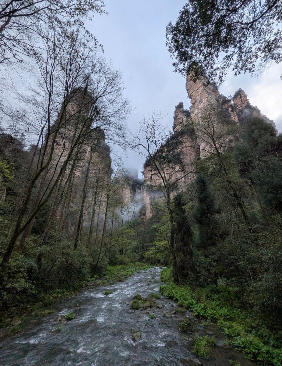 Regelegorila tweet media