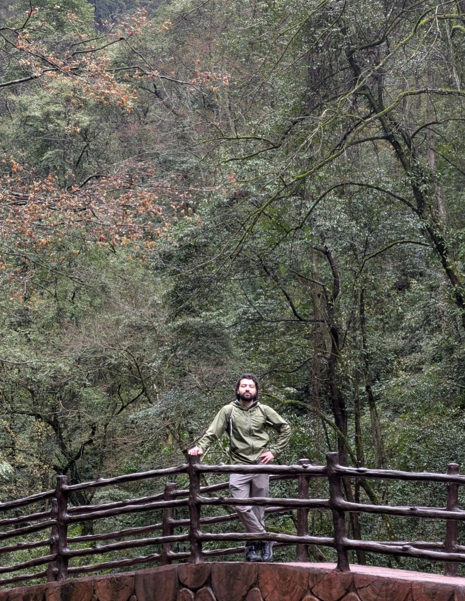 Regelegorila tweet media