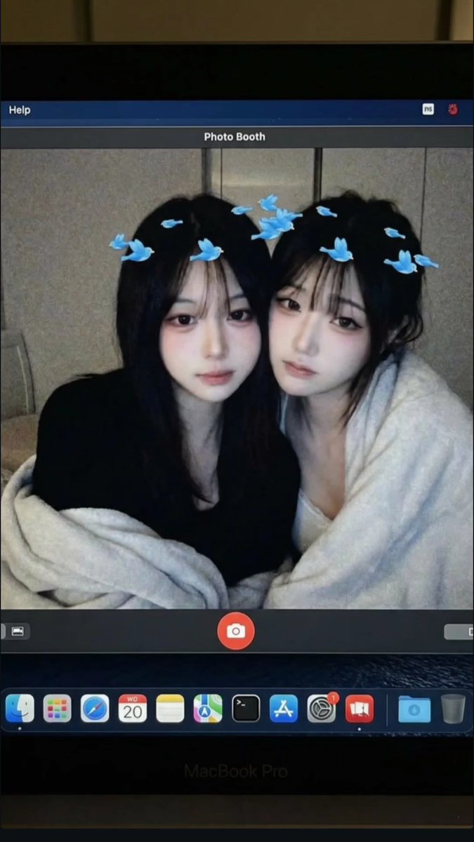 이 개 년 tweet media