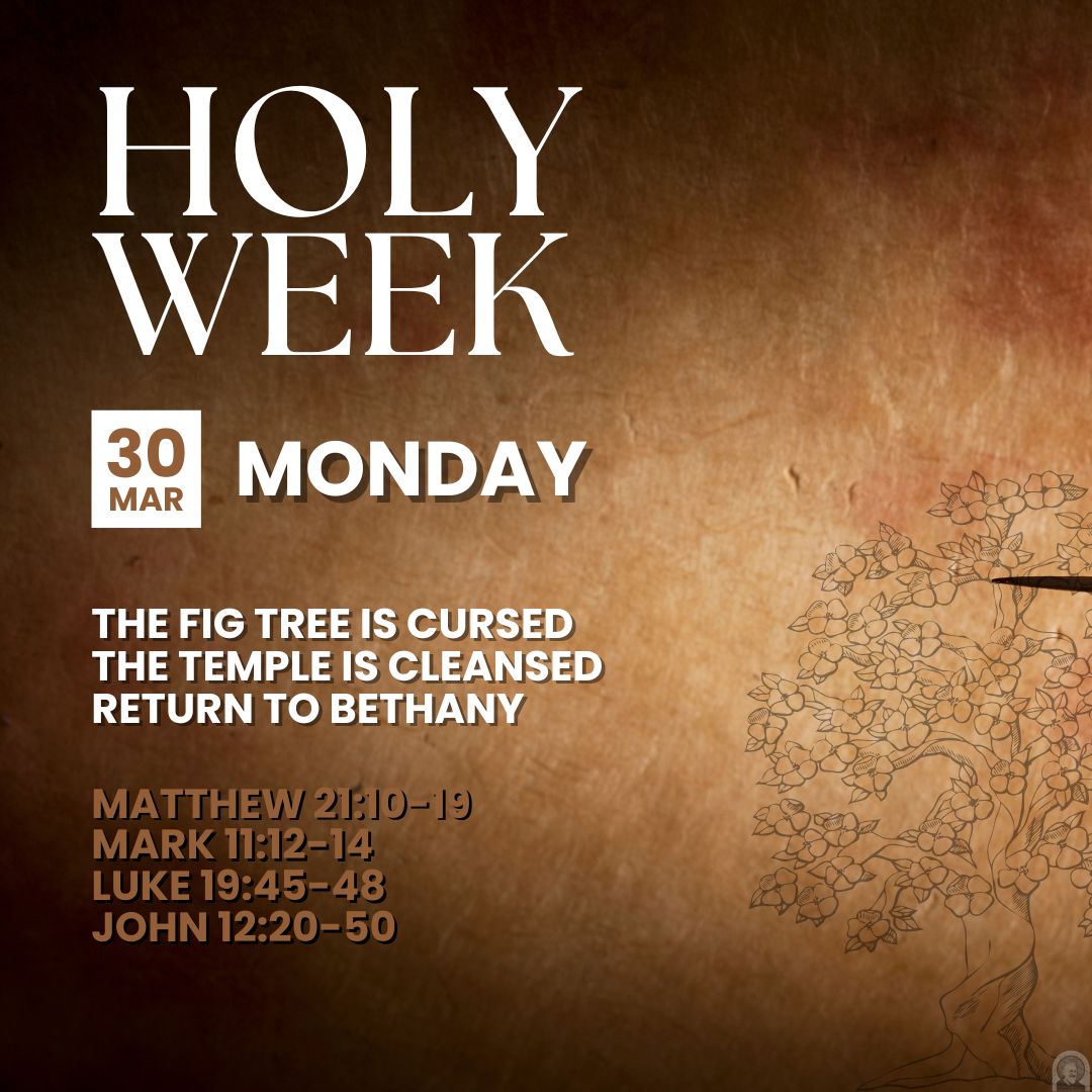 Catholic Healthcare International tweet media