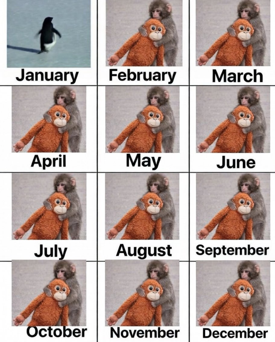 Link.sol tweet media