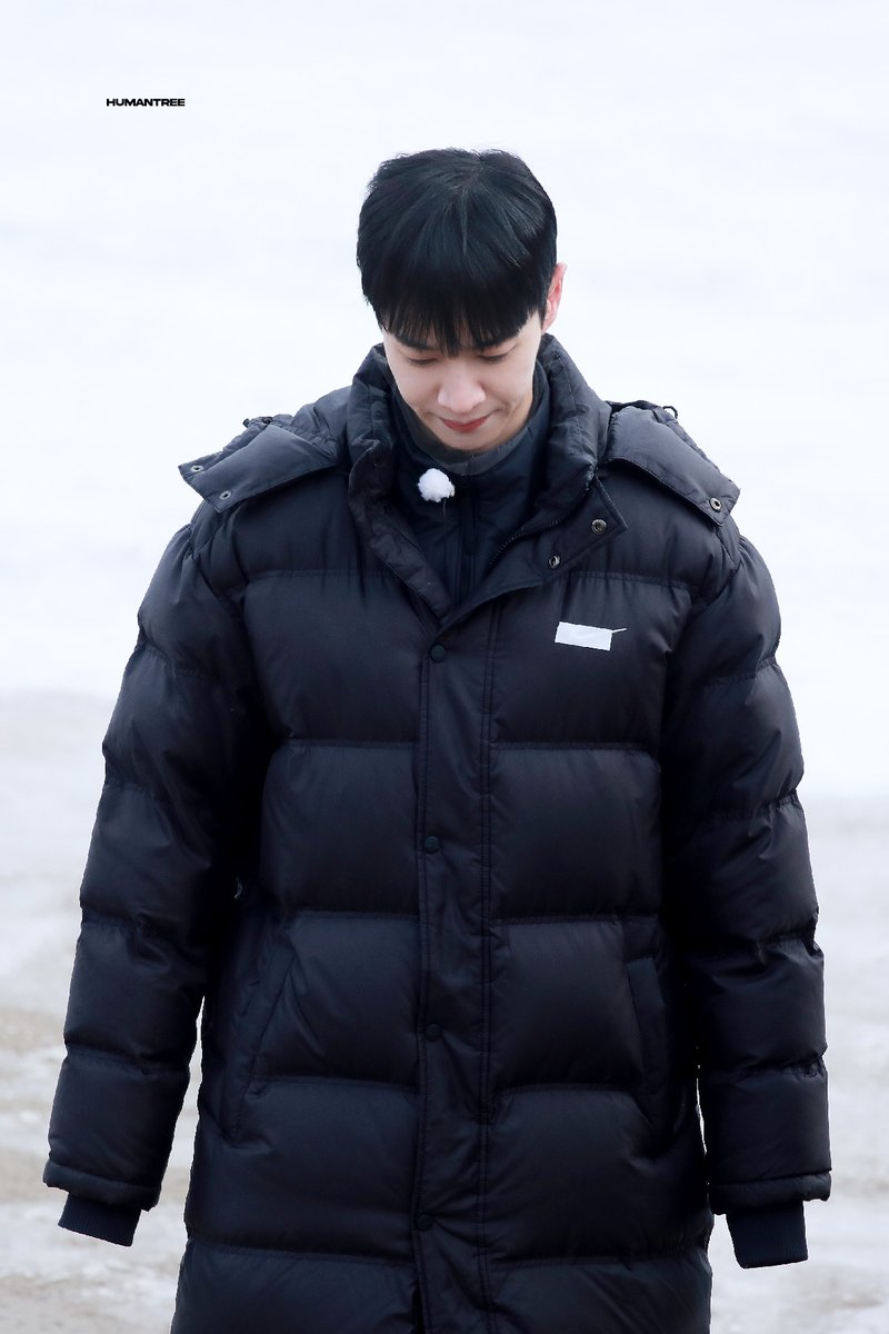 나무인간 tweet media