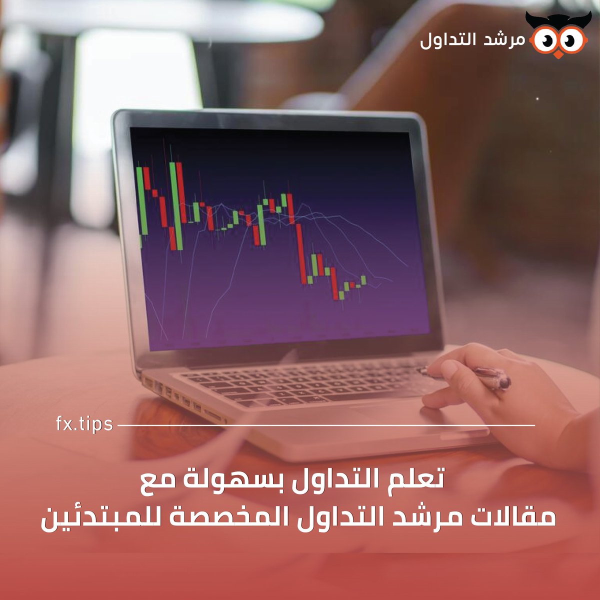 مرشد االتداول tweet media
